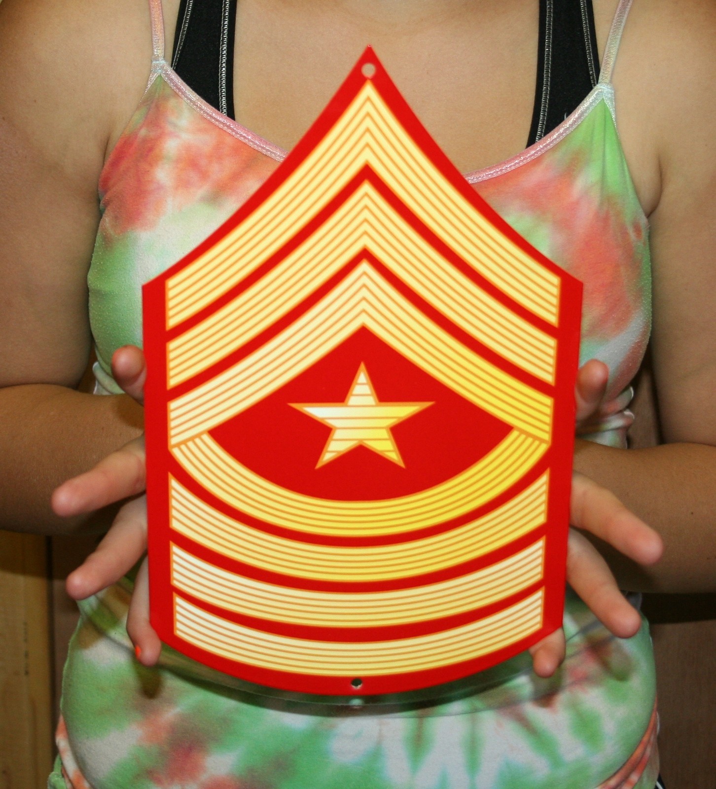 USMC E9 Sgt Major rank Red & Gold metal sign